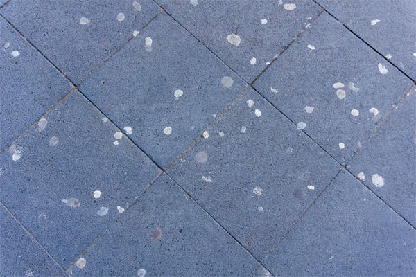 chewing gum removal services manassas | Northern Virginia Power Washers