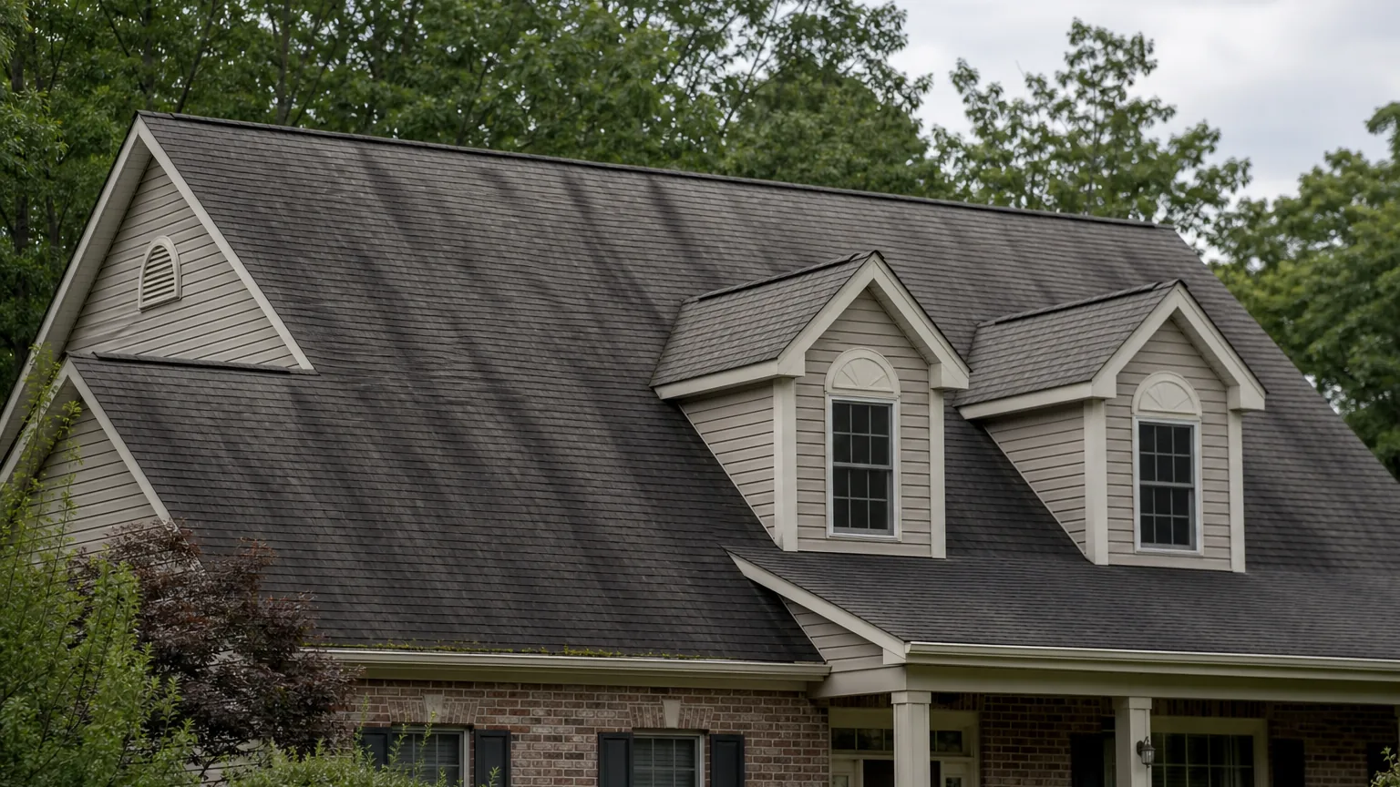 Centreville roof black streaks